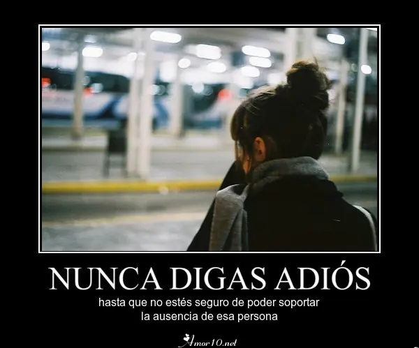 Animo