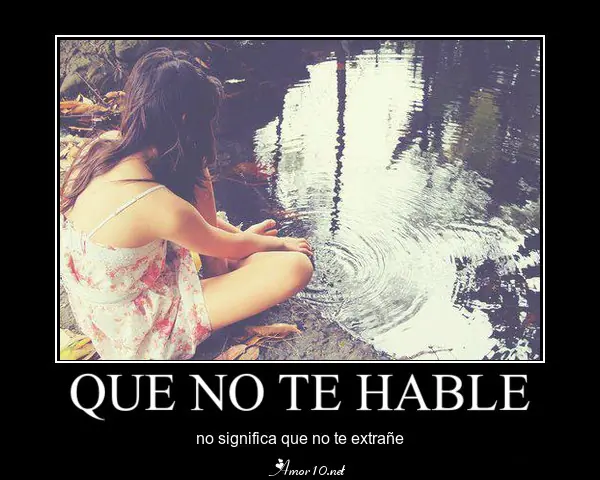Animo