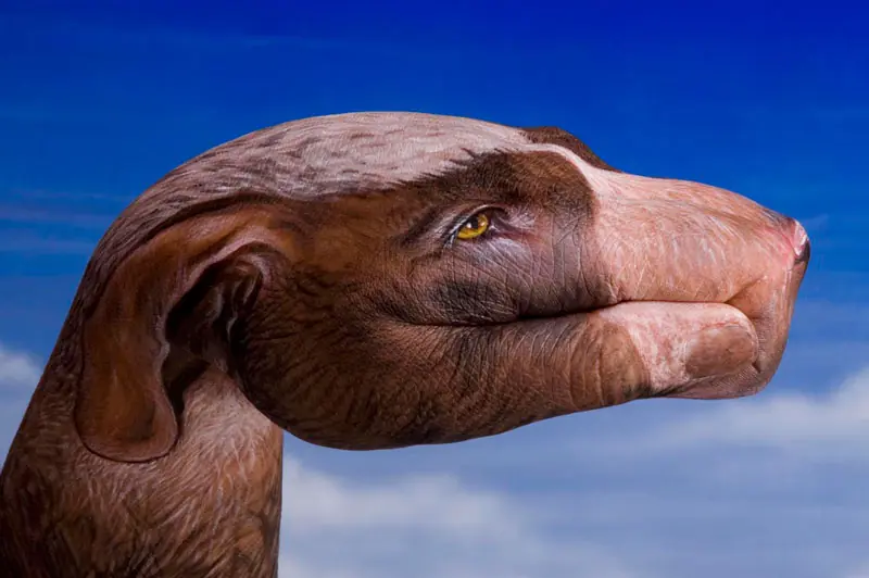 Arte de Mano [parte 1]