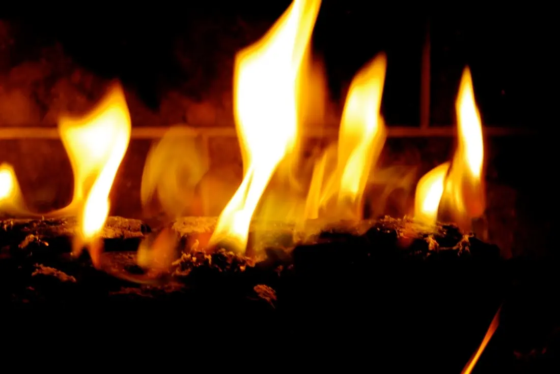 9 cosas asquerosas que forman parte de tu dieta..