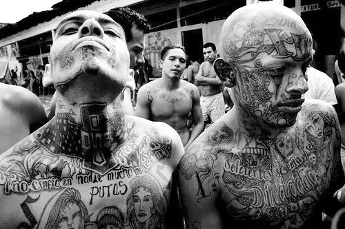 La Pandilla Más Peligrosa del Mundo
