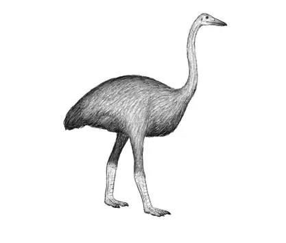 Las especies de animales que científicos quieren resucitar