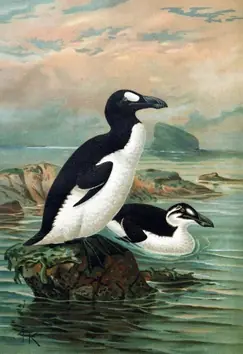 Las especies de animales que científicos quieren resucitar