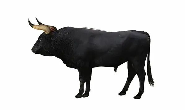 especies de animales extintos