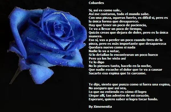 Cobardes. Escrito por mi