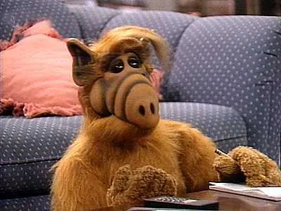 Alf Se Acuerdan De Alf
