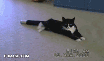 gifs de "ese incomodo momento"