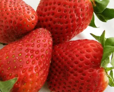 3 consejos para tener dientes bl