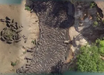 Raras Imágenes en Google Earth.