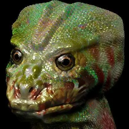 oculta