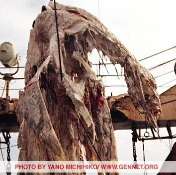 dinosaurio
