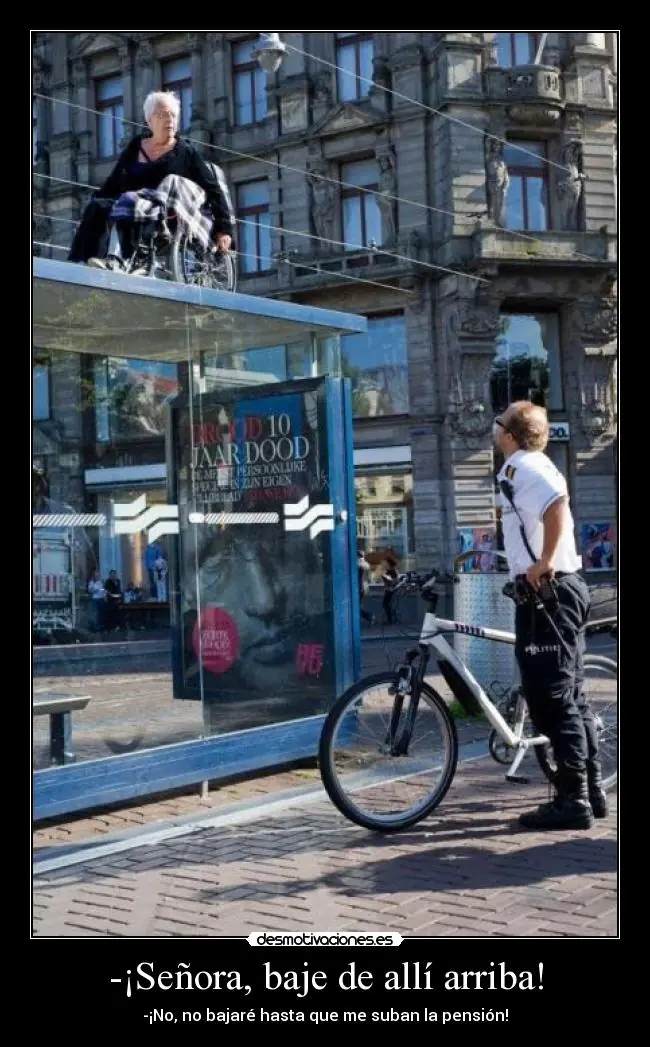 barras separadoras y gifs