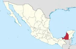armadillo