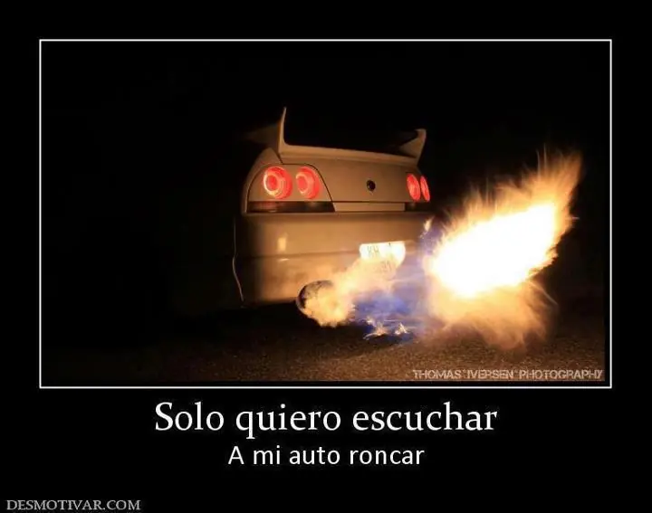 Pistero 100%