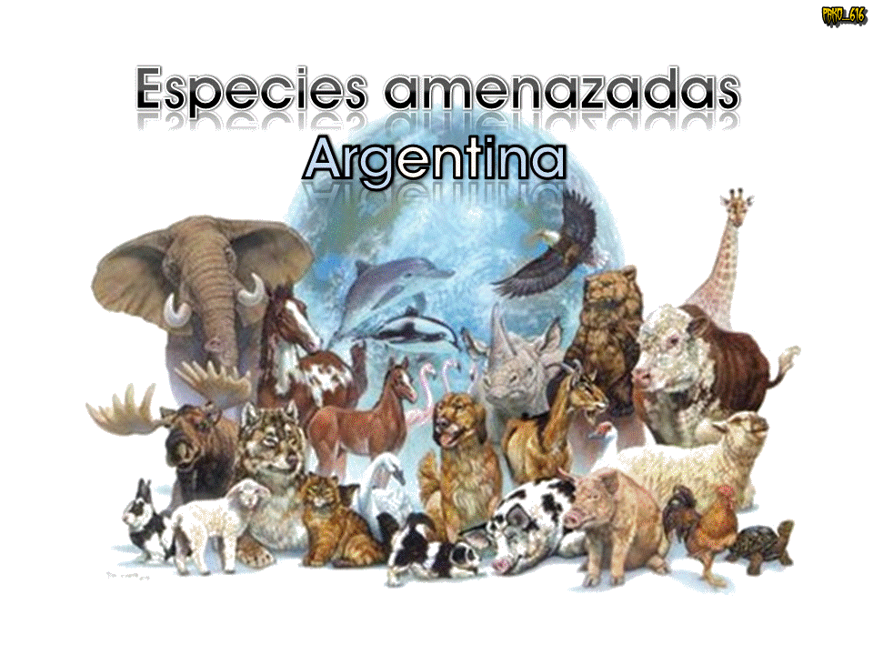 Animales En peligro: Argentina [Post ilustrativo]