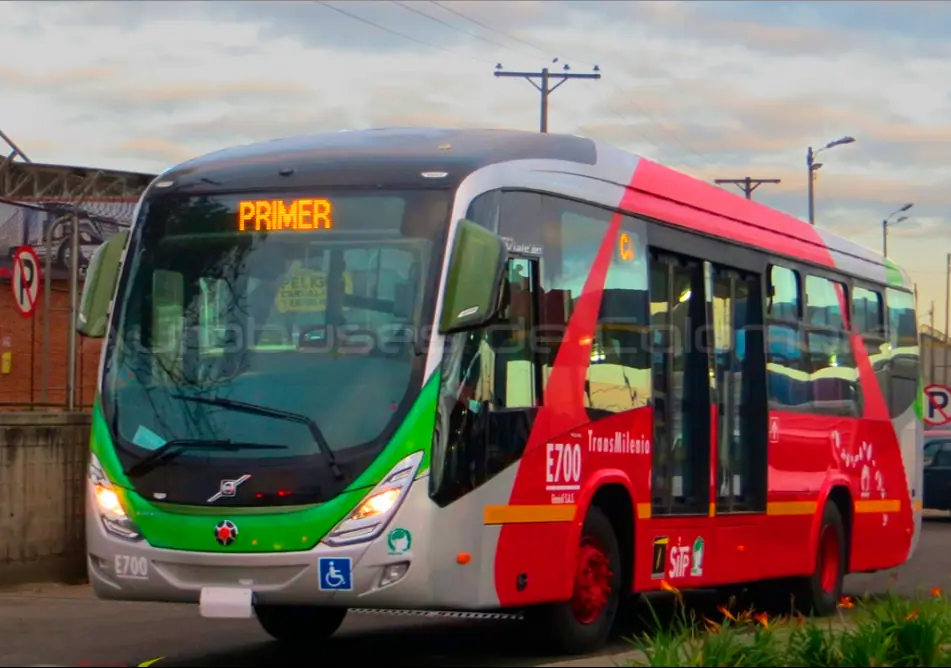 buses