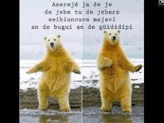 Imagenes graciosas