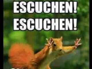 humor