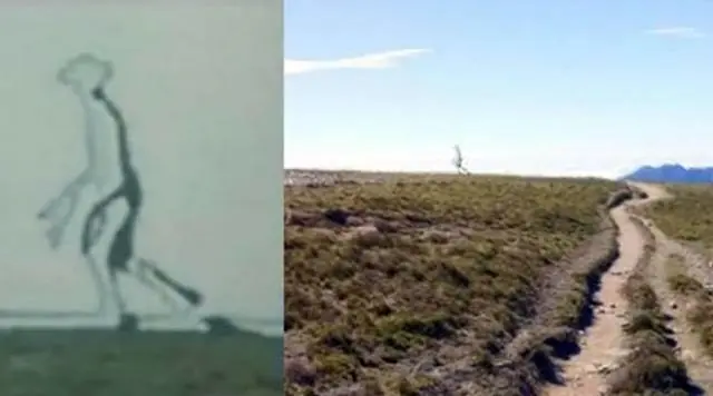 Fotografían a extraterrestre fantasma en Taiwán