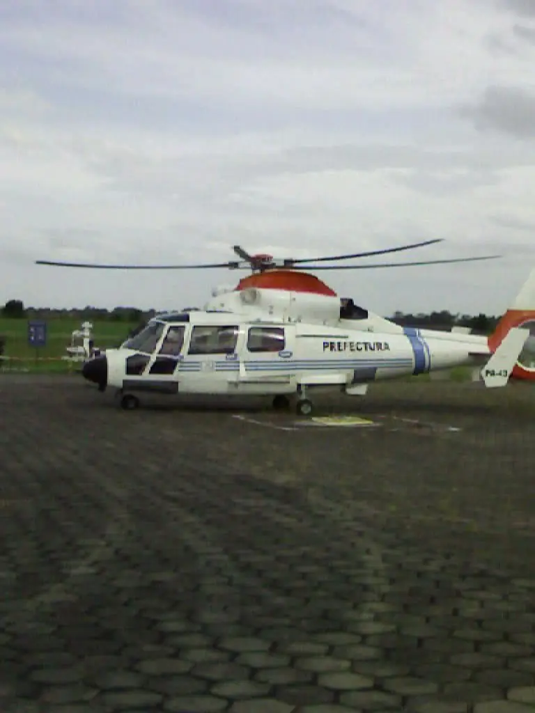 avion