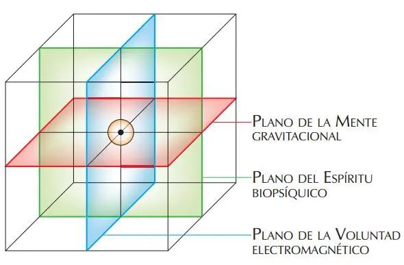 conscientes