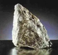 Salada