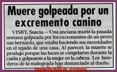 humor