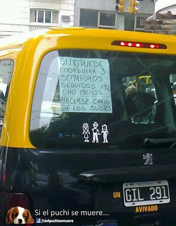 cotorro