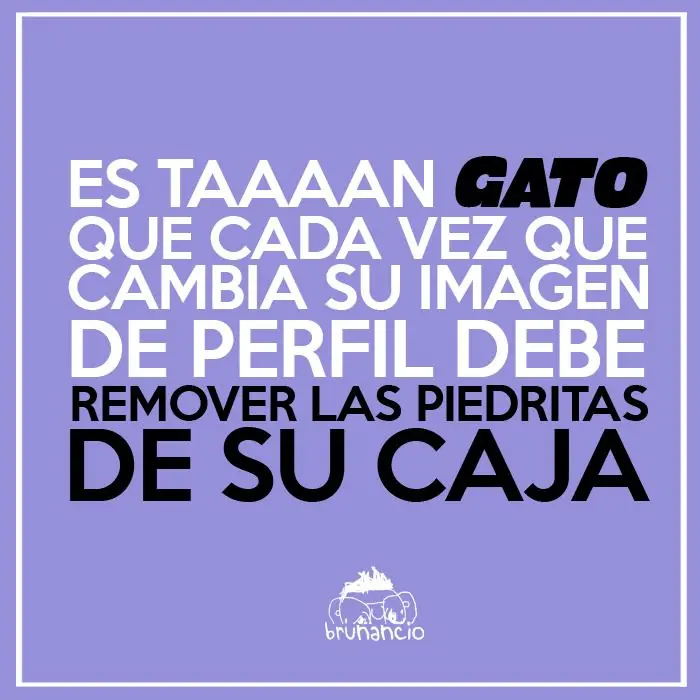 queseyo