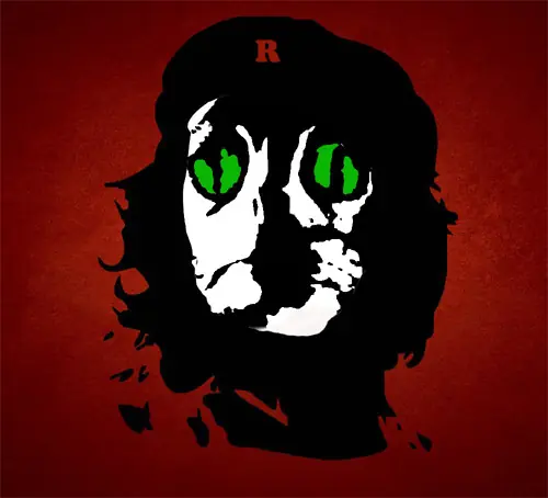 Soy Virgo,por estas 14 razones