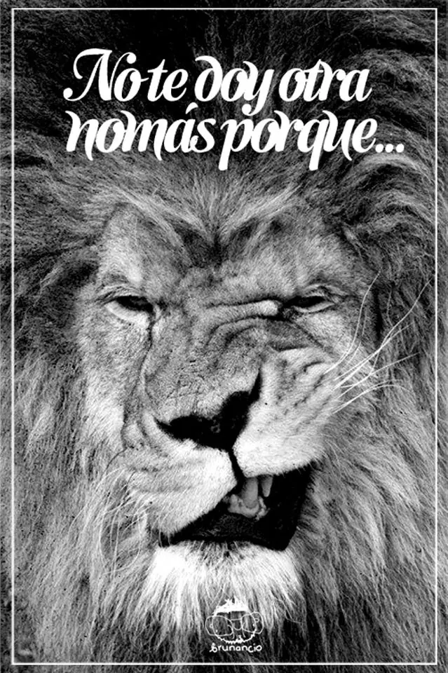 queseyo