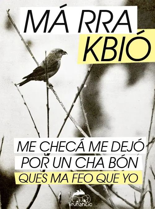 diseño