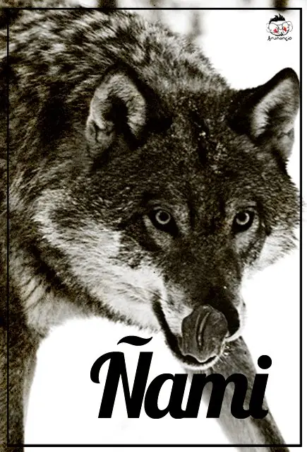 nitox22