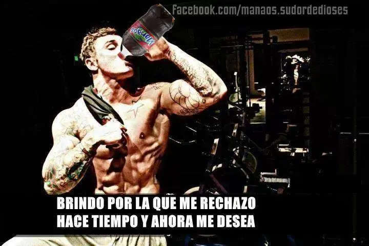 taringa