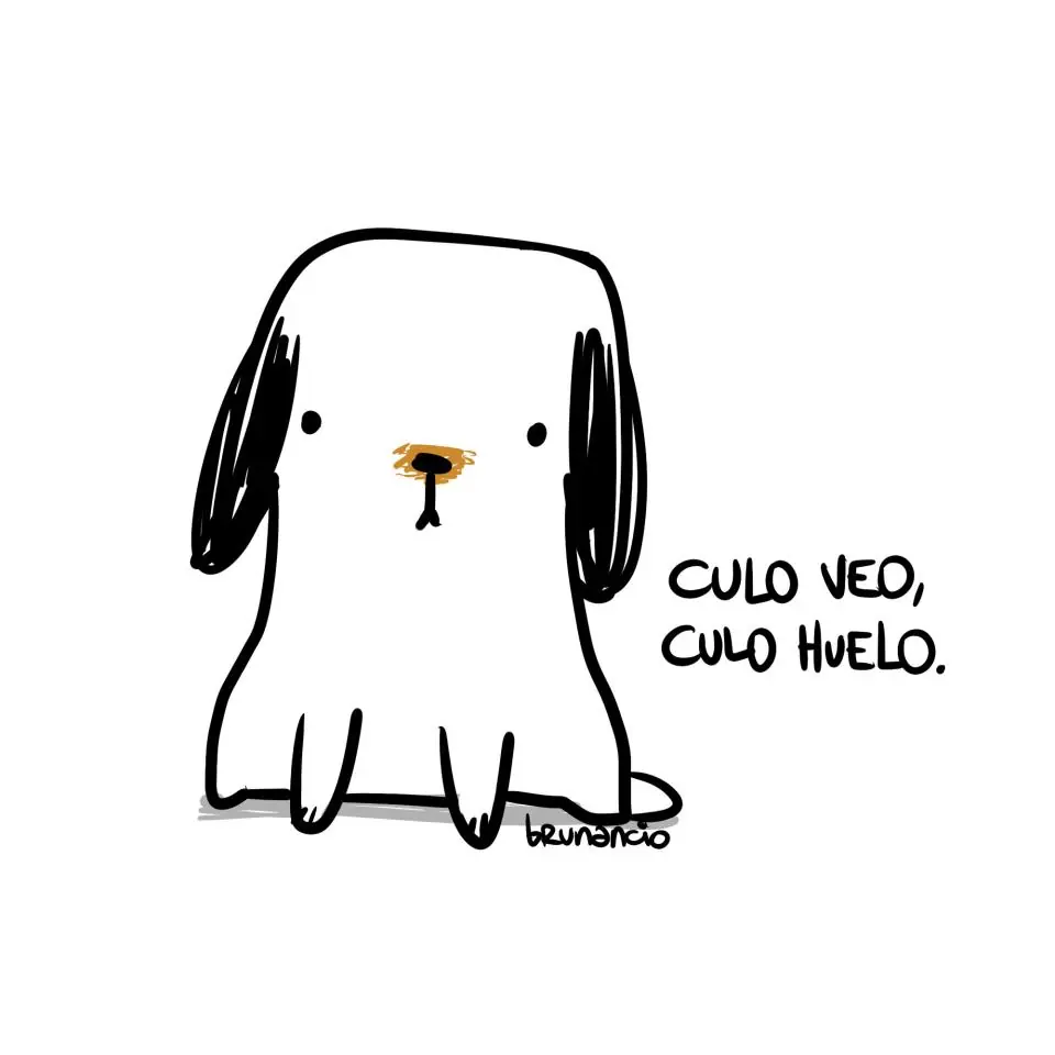 diseño