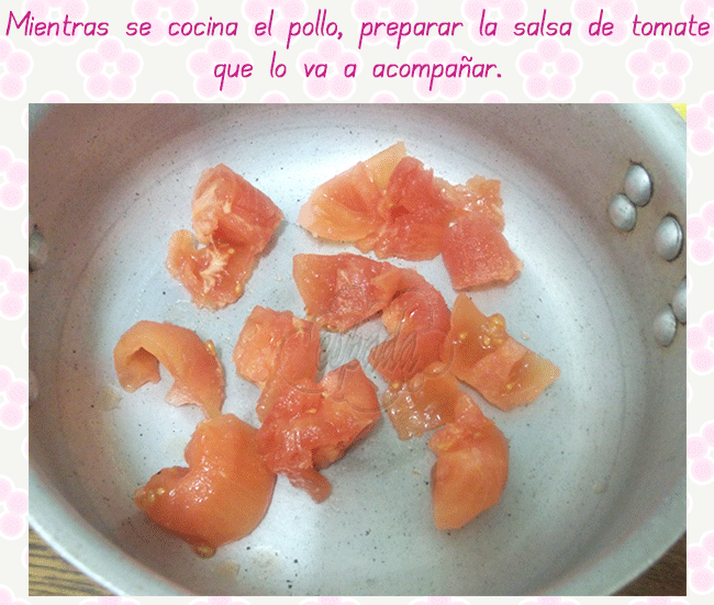 Pollo