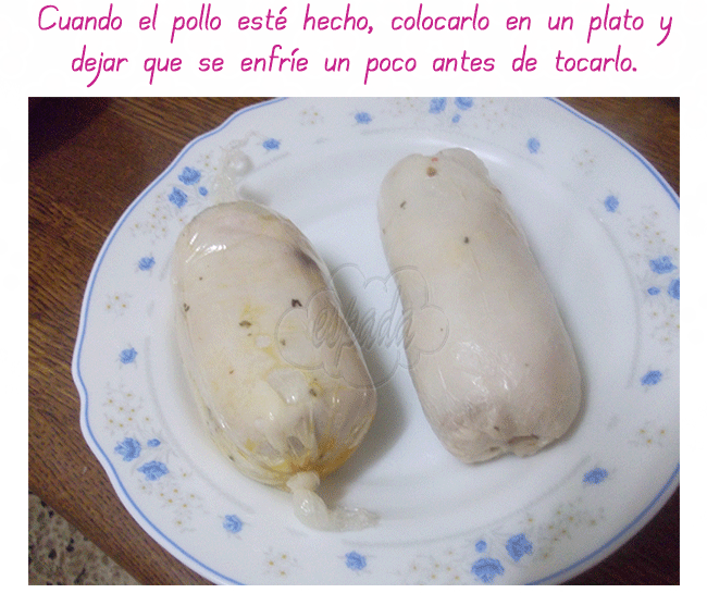 Pollo