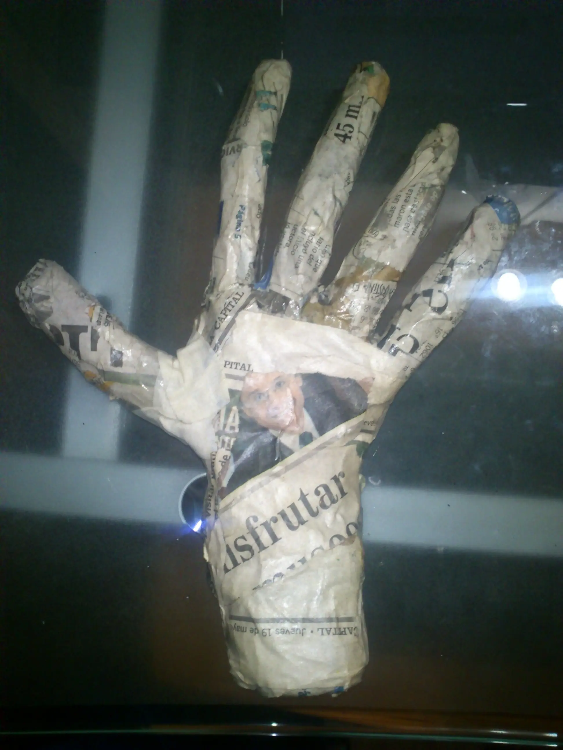 freddy