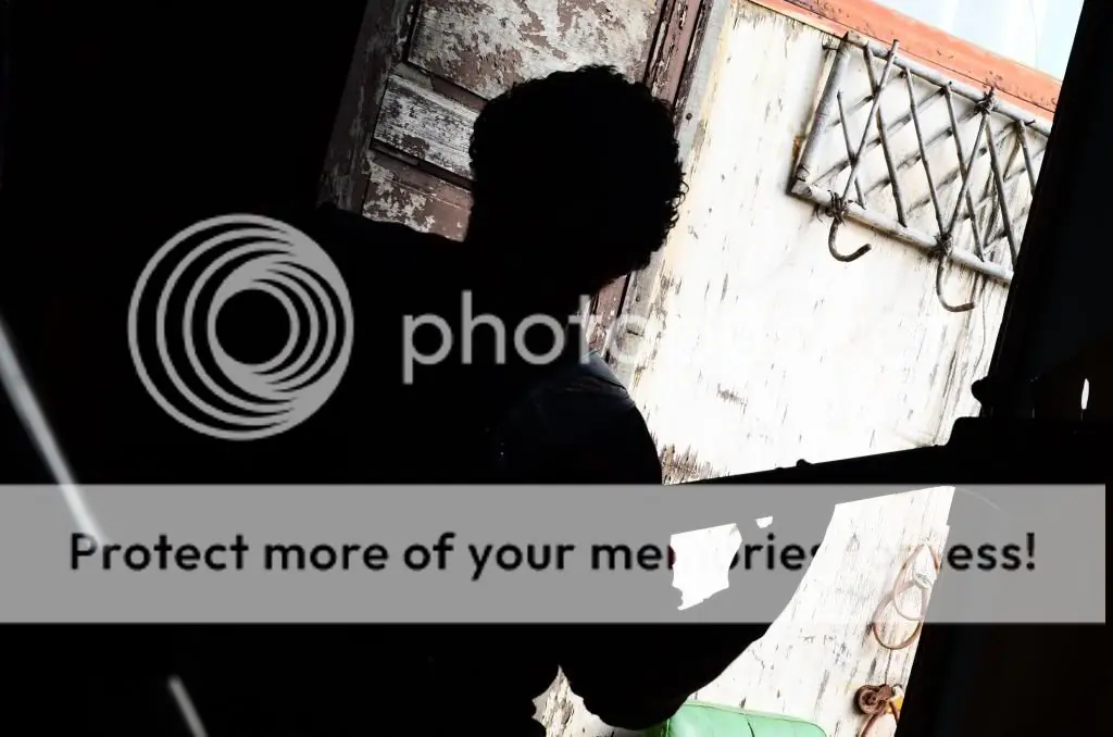 fotos