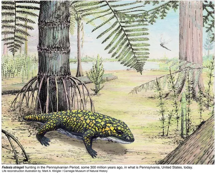 Empresa de mensajería bautiza fósil anfibio