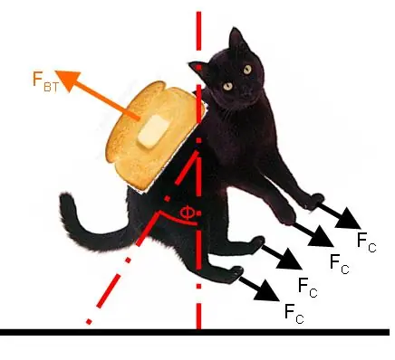La paradoja del gato y la tostada