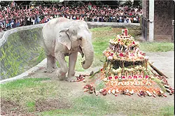 zoologico