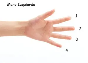 aprender