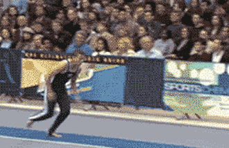 gif humor