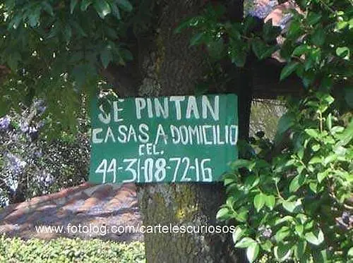 divertidos