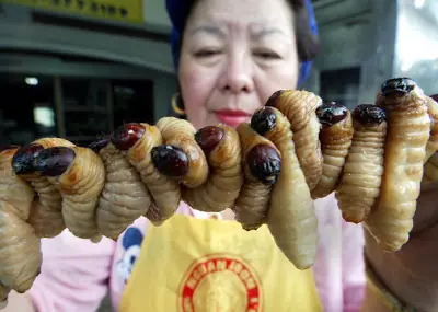 Receta para cocinar gusanos [Salta-Arg]