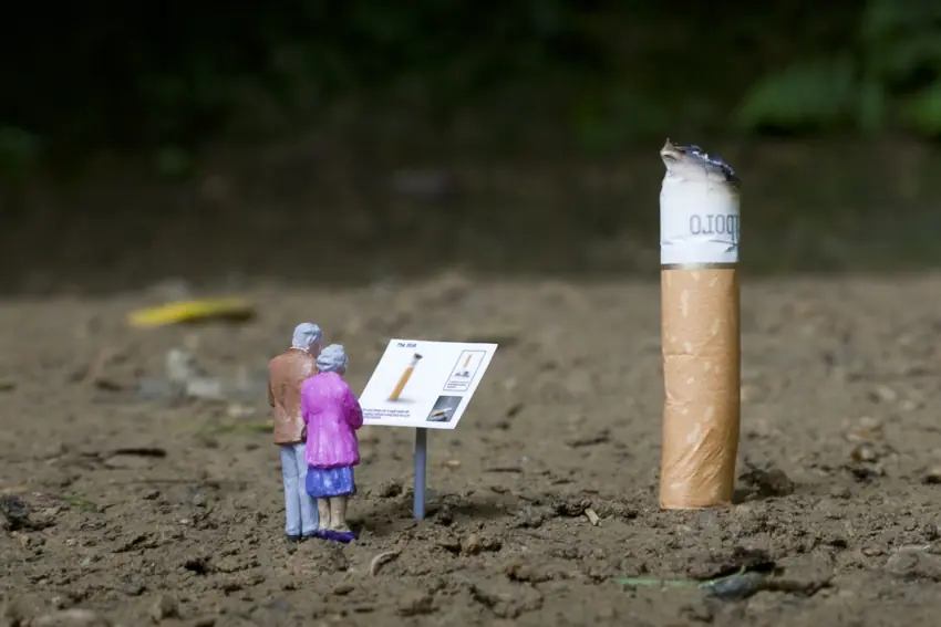 La vida en miniatura... alta recomendacion.