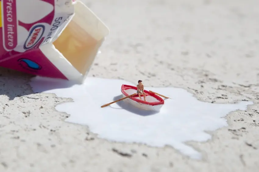 La vida en miniatura... alta recomendacion.