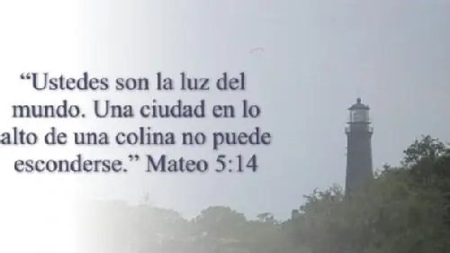 El mundo de la noche