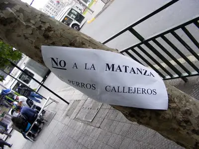 vida